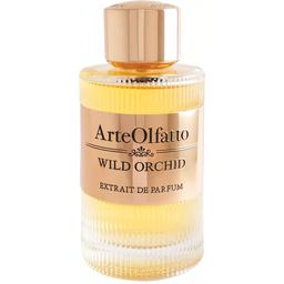 Wild Orchid