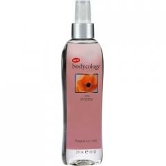 Wild Poppy