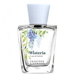 Wisteria