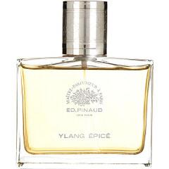 Ylang Épicé