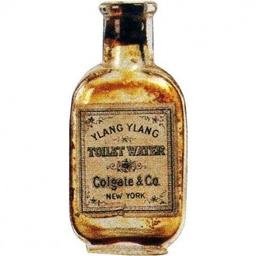 Ylang Ylang