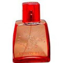 Beverly Hills Polo Club Colors for Women
