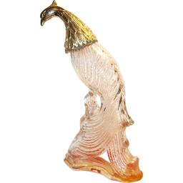 Bird of Paradise