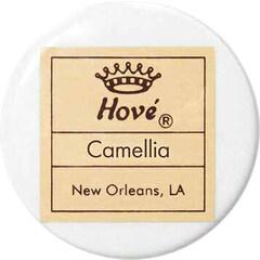 Camellia