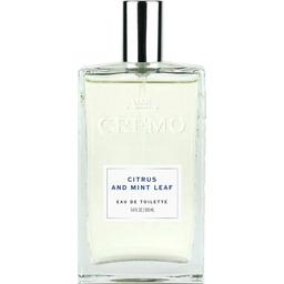 Citrus and Mint Leaf