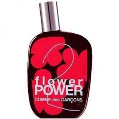 Comme des Garçons 2 Flower Power Special Edition