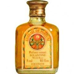 Eglantine
