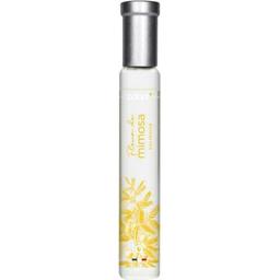 Fleur de Mimosa