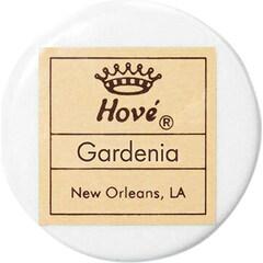 Gardenia