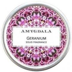 Geranium