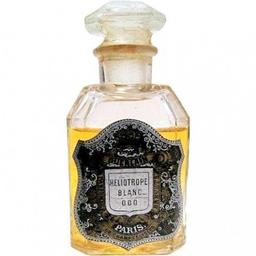Héliotrope Blanc