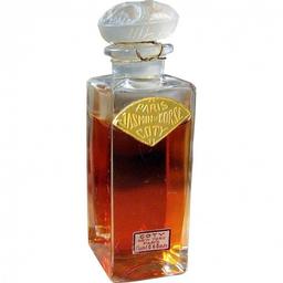 Jasmin de Corse