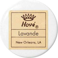 Lavande