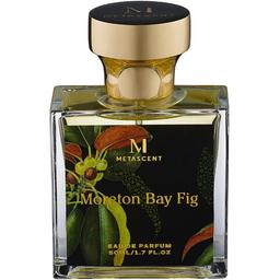 Moreton Bay Fig