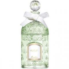 Muguet 2014