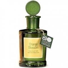 Orange Blossom
