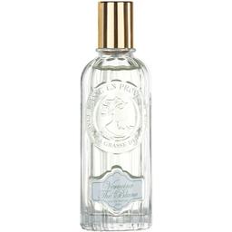 Verveine Thé Blanc