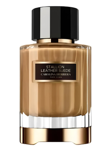 Stallion Leather Suede 2025