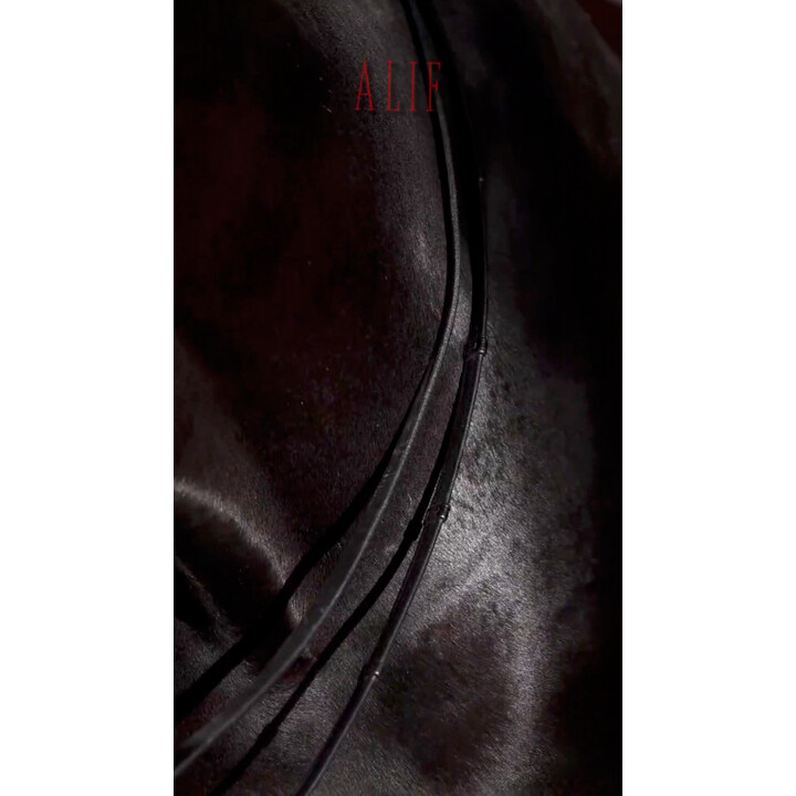 Similar perfume 257986