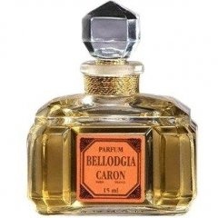 Bellodgia