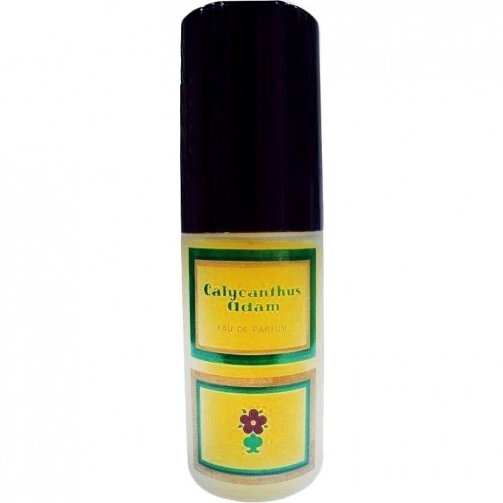 Similar perfume 71636