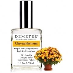 Chrysanthemum