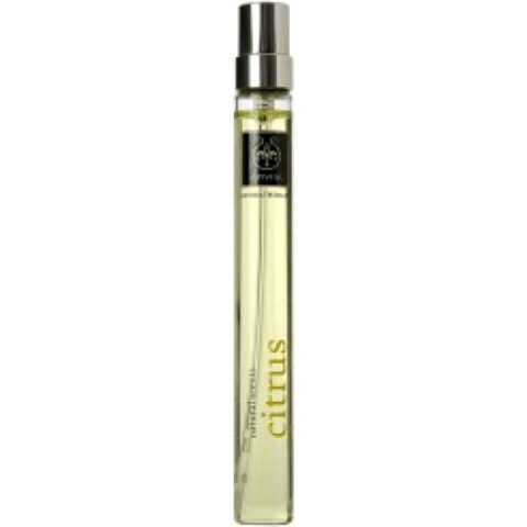 Similar perfume 50817