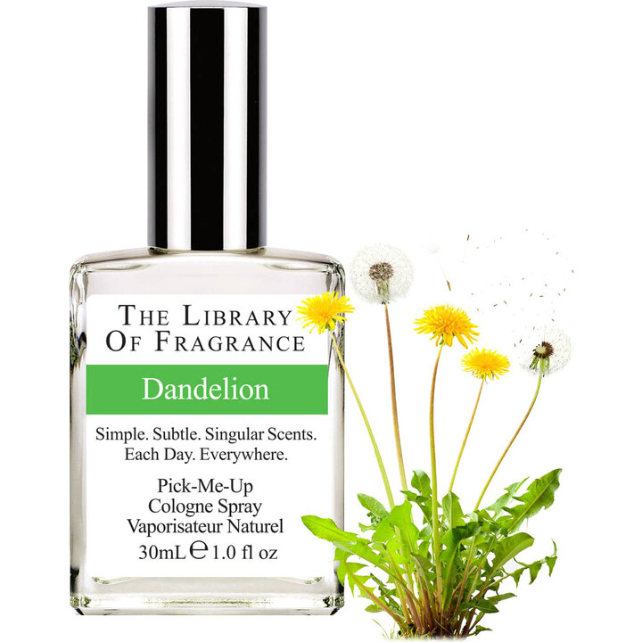 Dandelion