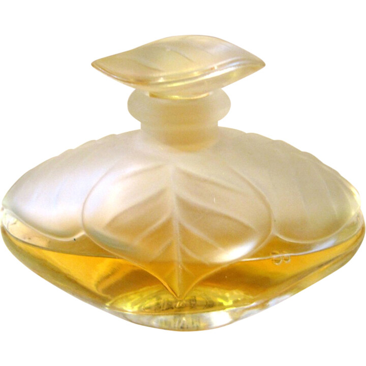 Similar perfume 73655