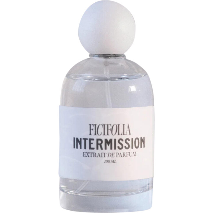 Similar perfume 213570