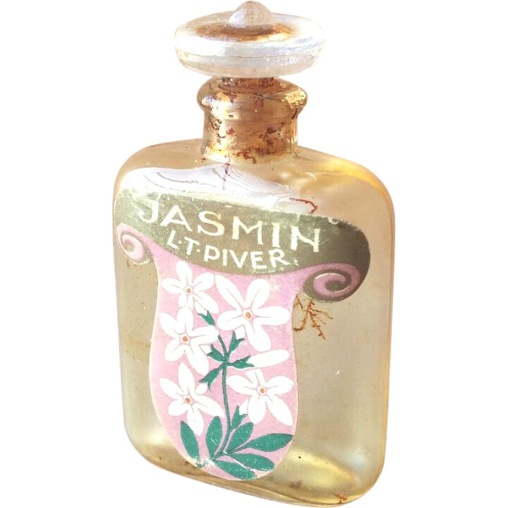 Jasmin