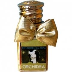 Orchidea