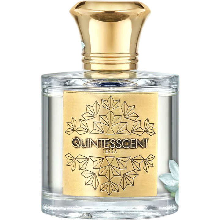 Similar perfume 144638