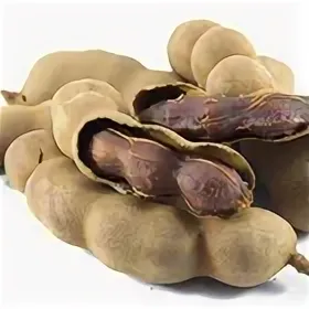 Абсолют бобов тонка