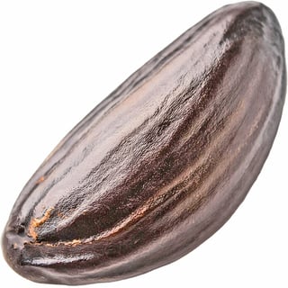 Абсолют венесуэльских жареных бобов тонка Orpur®