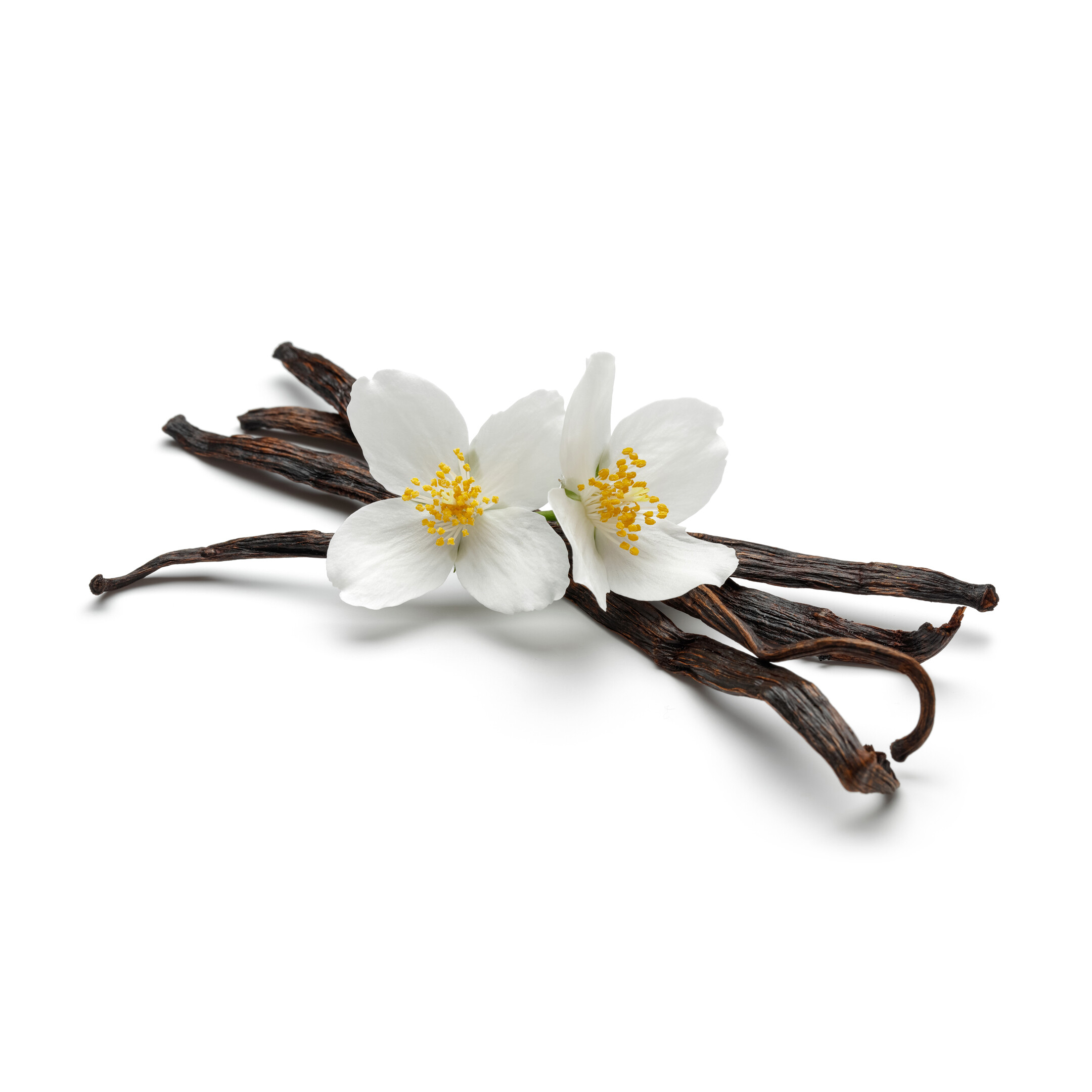 Абсолют таитянской ванили