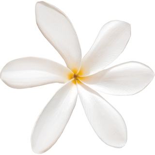 Абсолютная тиара