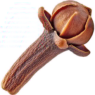 Бразильская гвоздика