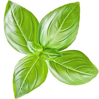 Бэзил Аттар