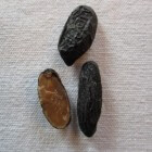 Венесуэльские бобы тонка