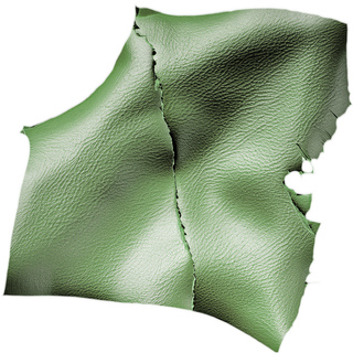 Зеленая кожа