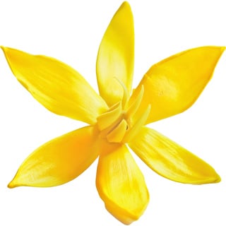 Иланг-иланг Орпур®