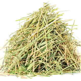 Испанское сено абсолют