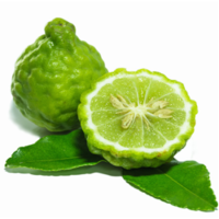 Итальянский бергамот