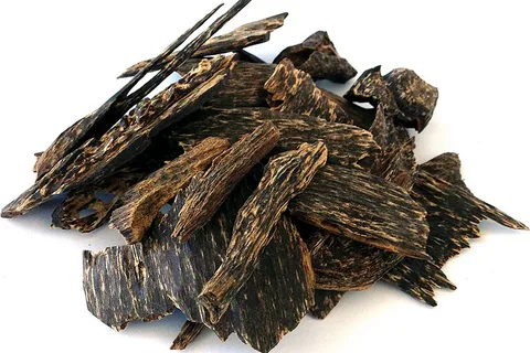 Камбоджийский уд