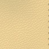 Кожаные ноты