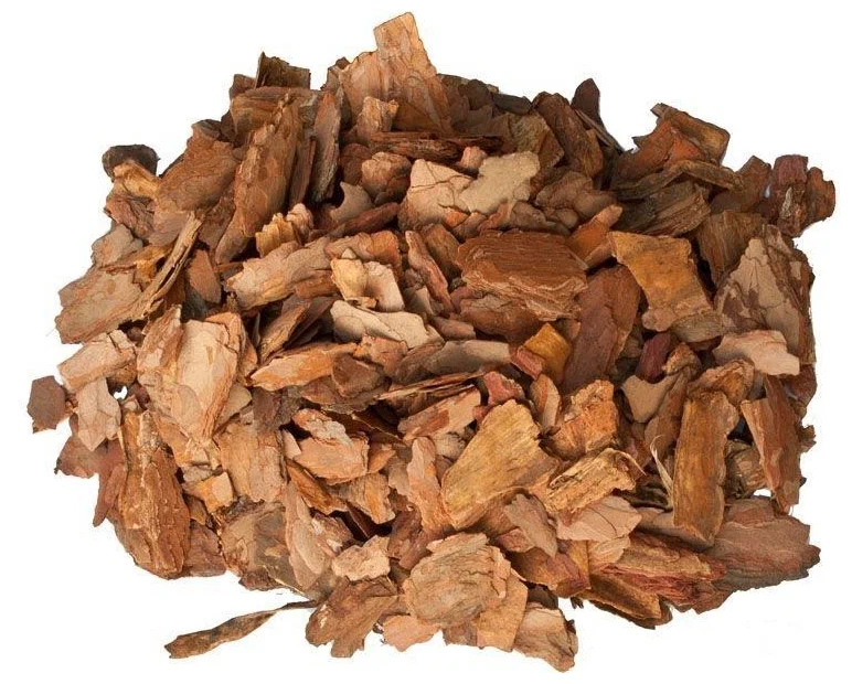 Кора Массойи