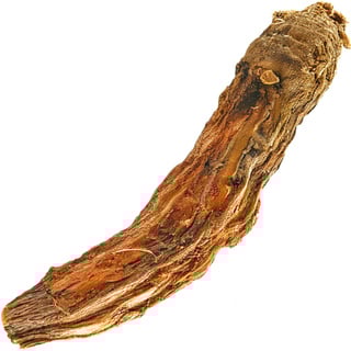 Корень горечавки