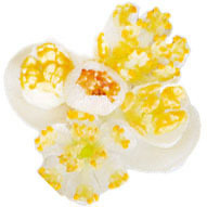 Кости кубеба