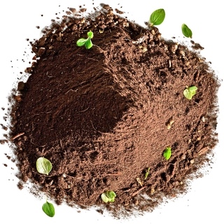 Лесная почва